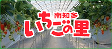 愛知県で人気のいちごの里