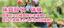 愛知県で人気のテーマパーク南知多グリーンバレイの味覚狩り･体験ページ