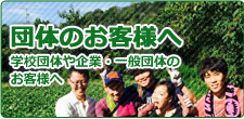 愛知県で人気のテーマパーク南知多グリーンバレイのぶろぐ団体のお客様ページ